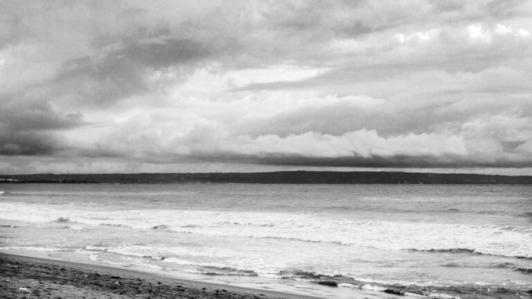 What Is Cricbet99 Vip Club Site Used For?